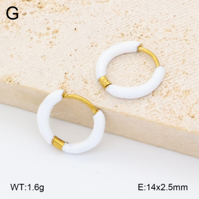 2E3004082avja-452  Stainless Steel Earrings