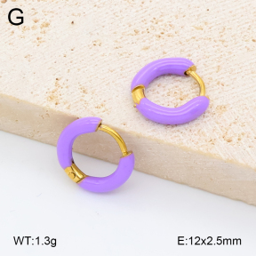 2E3004084avja-452  Stainless Steel Earrings