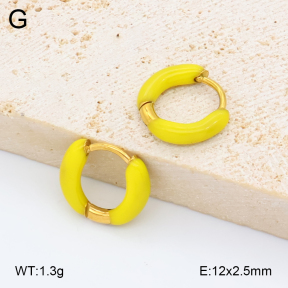 2E3004085avja-452  Stainless Steel Earrings