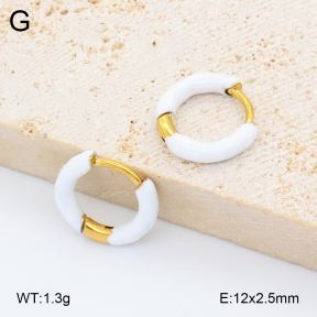 2E3004086avja-452  Stainless Steel Earrings