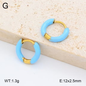 2E3004087avja-452  Stainless Steel Earrings