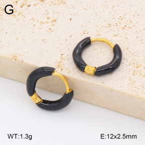 2E3004088avja-452  Stainless Steel Earrings