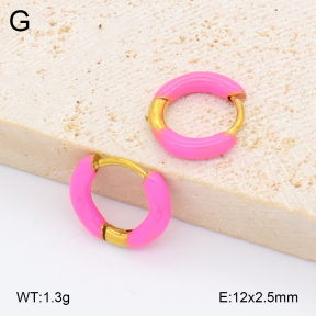 2E3004089avja-452  Stainless Steel Earrings