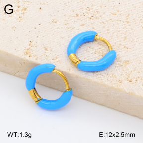 2E3004090avja-452  Stainless Steel Earrings