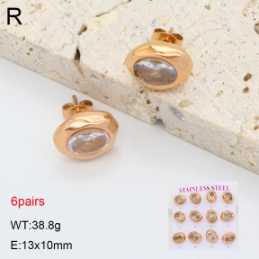 2E4005057aill-436  Stainless Steel Earrings