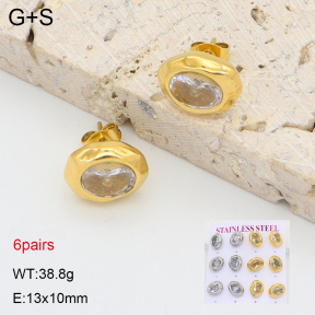 2E4005059biib-436  Stainless Steel Earrings
