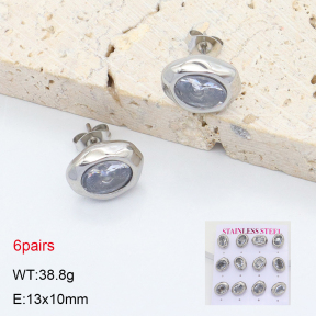 2E4005060vivl-436  Stainless Steel Earrings