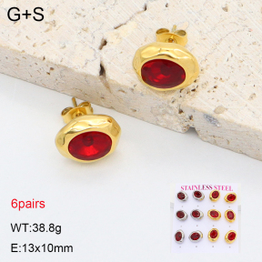 2E4005062biib-436  Stainless Steel Earrings