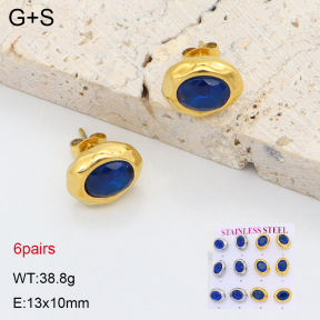 2E4005065biib-436  Stainless Steel Earrings