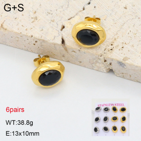2E4005068biib-436  Stainless Steel Earrings