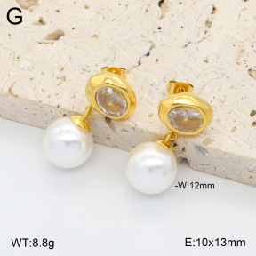 2E4005070vbmb-436  Stainless Steel Earrings
