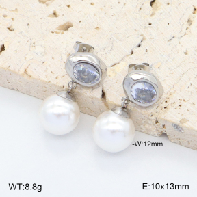 2E4005071ablb-436  Stainless Steel Earrings