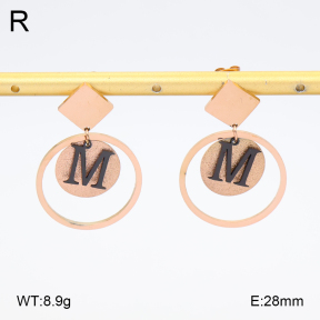 2E5000232vbmb-452  Stainless Steel Earrings