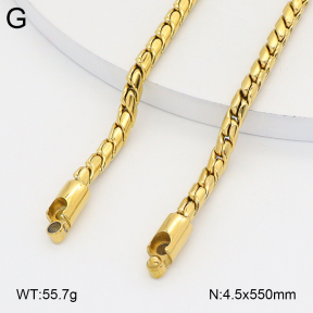 2N2008861aija-452  Stainless Steel Necklace