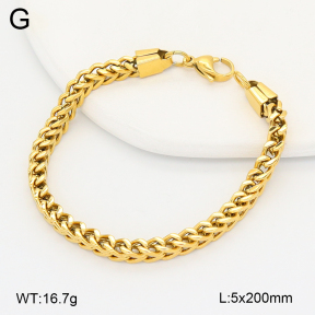2B2005480vbnl-389  Stainless Steel Bracelet