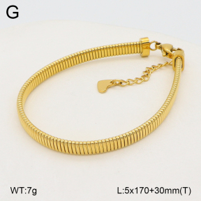 2B2005495bhva-389  Stainless Steel Bracelet
