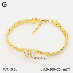 2B3004569vbnb-393  Stainless Steel Bracelet