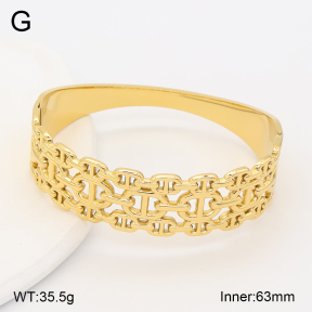 2BA202652vhkb-317  Stainless Steel Bangle