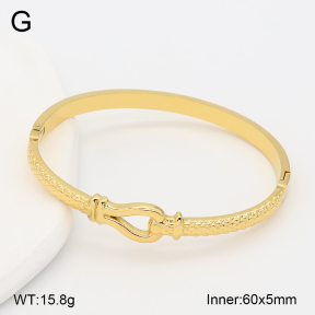 2BA202656ahjb-317  Stainless Steel Bangle