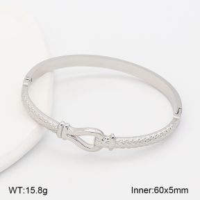 2BA202657vhha-317  Stainless Steel Bangle