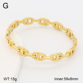 2BA202660ahjb-317  Stainless Steel Bangle
