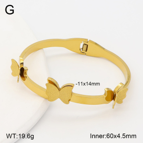 2BA202666vbll-704  Stainless Steel Bangle