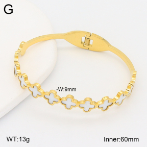 2BA300667bbov-478  Stainless Steel Bangle
