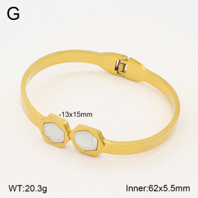 2BA300669aakl-704  Stainless Steel Bangle