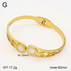2BA300671aakl-704  Stainless Steel Bangle
