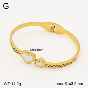 2BA300672aakl-704  Stainless Steel Bangle
