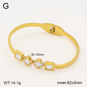 2BA300673vbll-704  Stainless Steel Bangle