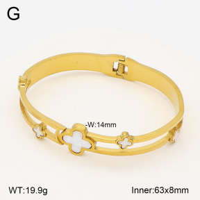 2BA300674vbmb-704  Stainless Steel Bangle