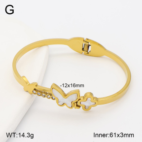 2BA300675vbmb-704  Stainless Steel Bangle