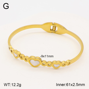 2BA300678vbll-704  Stainless Steel Bangle