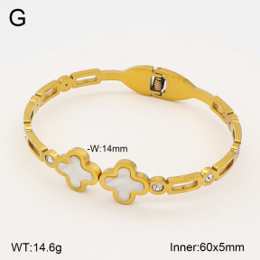 2BA300679vbmb-704  Stainless Steel Bangle