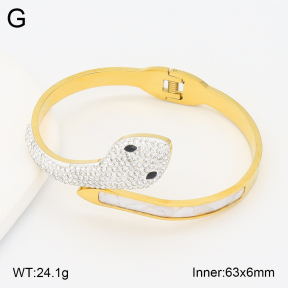 2BA402851vbpb-478  Stainless Steel Bangle