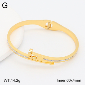 2BA402858vbnb-478  Stainless Steel Bangle