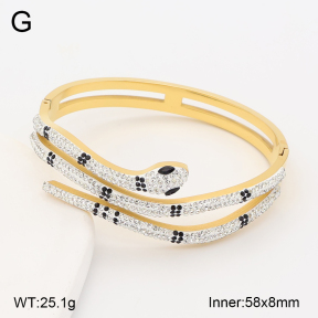 2BA402873vhmv-317  Stainless Steel Bangle