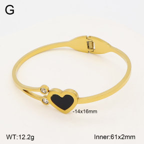 2BA402894aakl-704  Stainless Steel Bangle