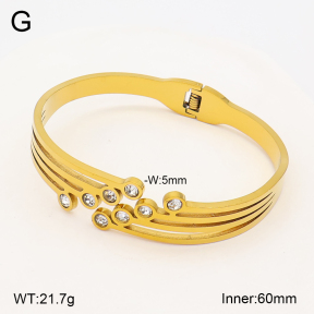 2BA402900vbmb-704  Stainless Steel Bangle