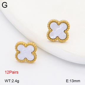 2E3004091vhov-731  Stainless Steel Earrings