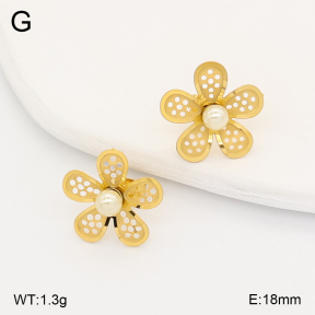 2E3004092baka-317  Stainless Steel Earrings