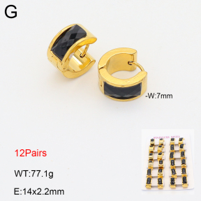 2E4005092bihm-731  Stainless Steel Earrings