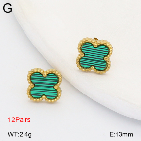 2E4005093vhov-731  Stainless Steel Earrings