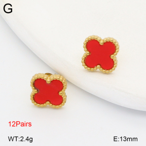 2E4005094vhov-731  Stainless Steel Earrings