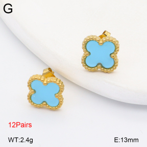 2E4005095vhov-731  Stainless Steel Earrings