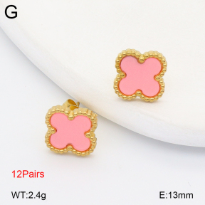 2E4005096vhov-731  Stainless Steel Earrings