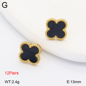 2E4005097vhov-731  Stainless Steel Earrings