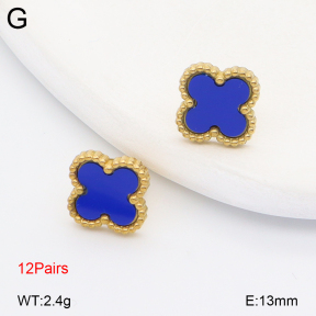 2E4005098vhov-731  Stainless Steel Earrings