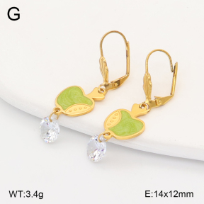2E4005099baka-317  Stainless Steel Earrings